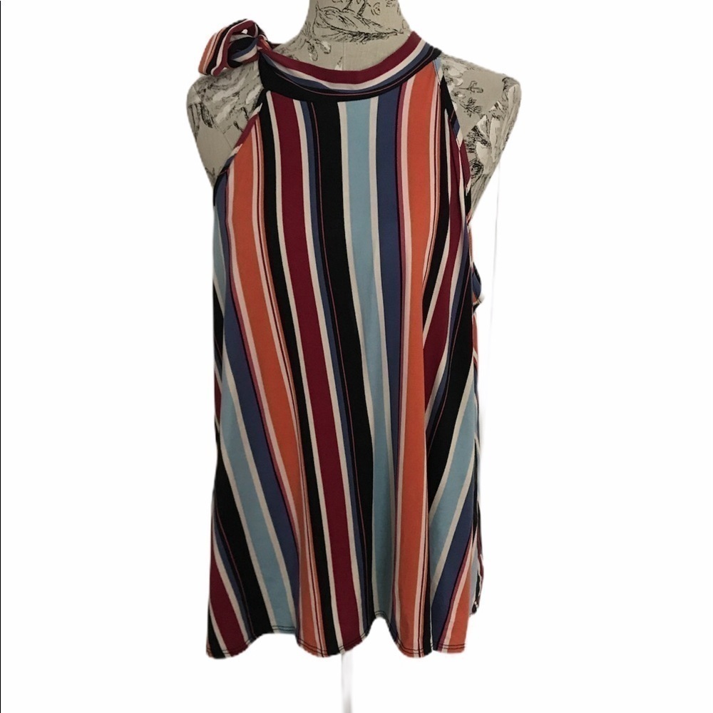Rainbow Striped Top 2X